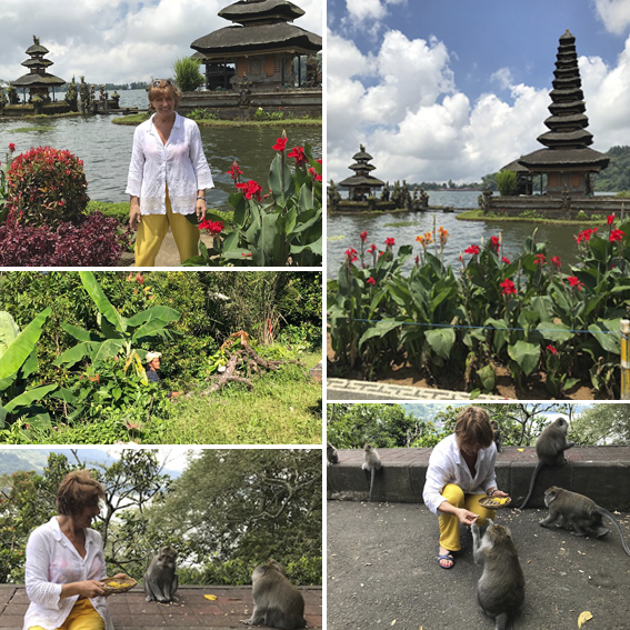 Collage Bali
